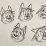 Lil Bad Wolf facial expressions practice