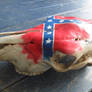 confederate cow skull