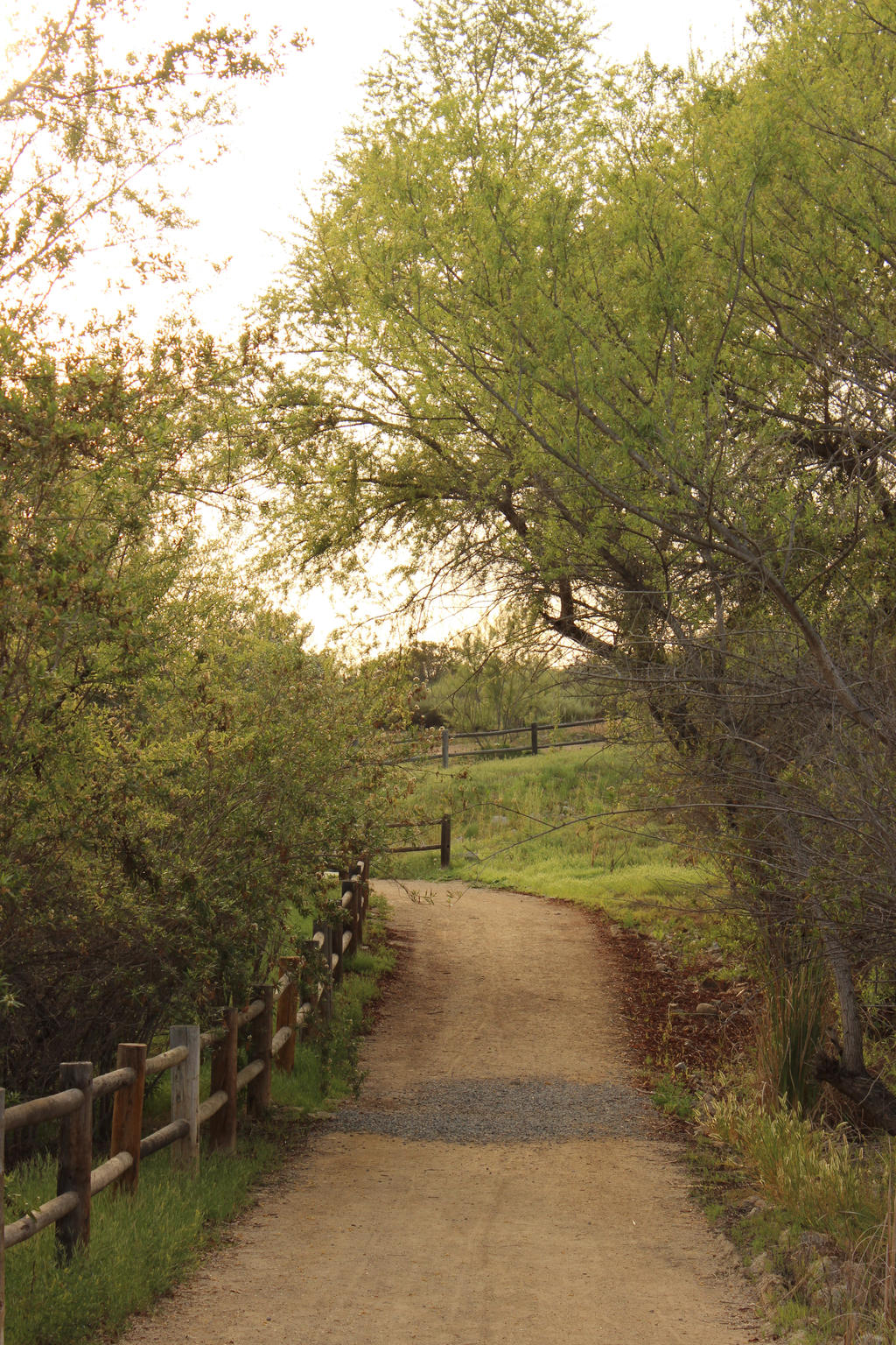 Rustic Path