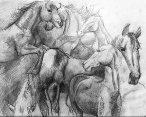 composition - horses