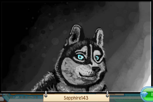 Husky in Animal Jam