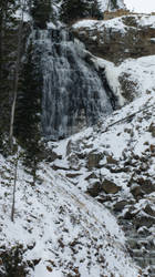 Yellowstone0491