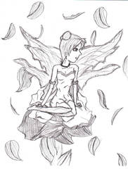 TENTEN FAIRIE-best picture-