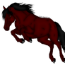 Coloured Horse