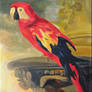 Parrot