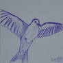 Ink Flycatcher