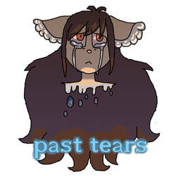 Past Tears