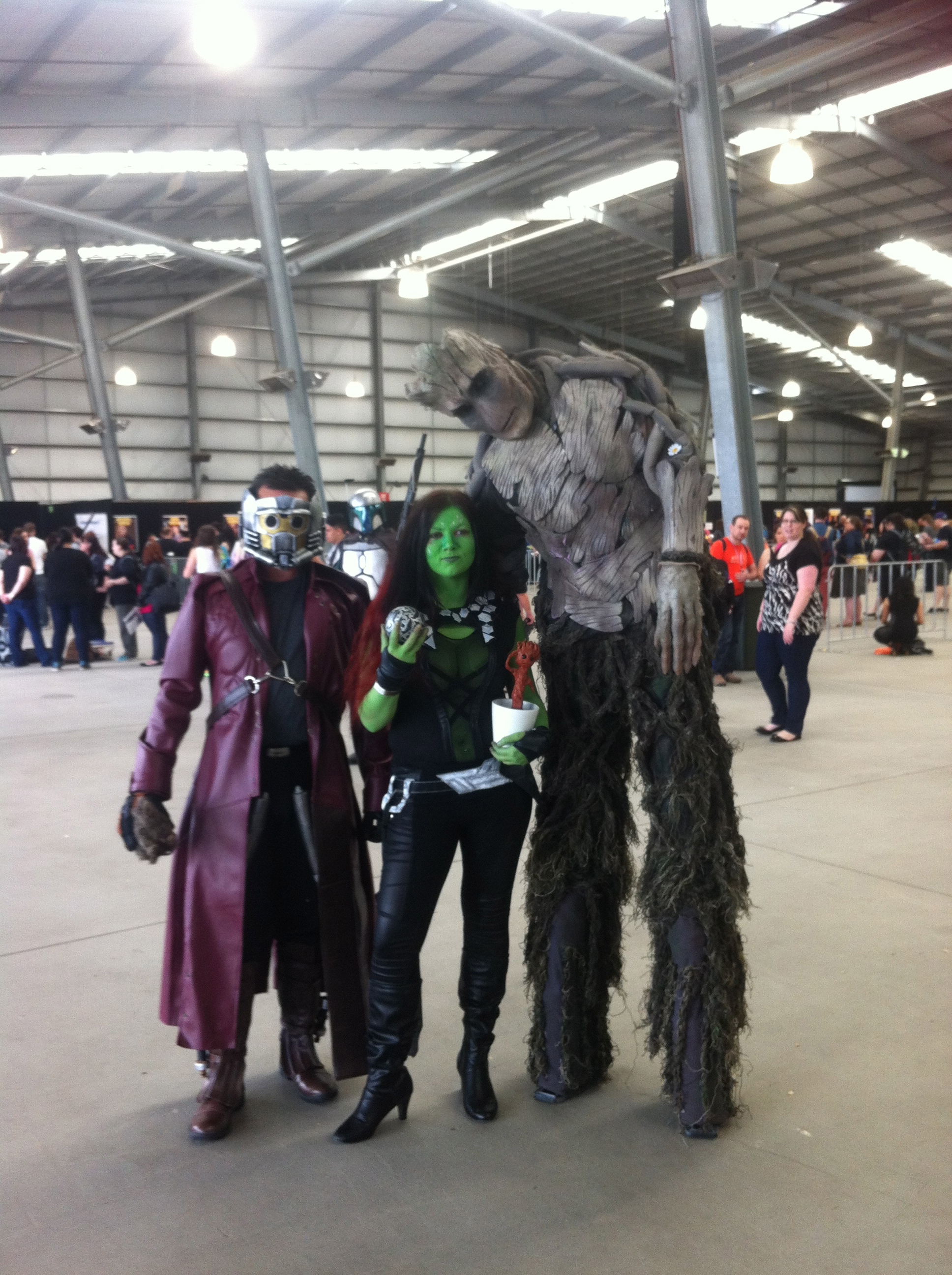 Armageddon 2014 - Me Star Lord and Groot