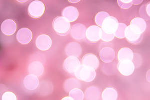 Pink Bokeh