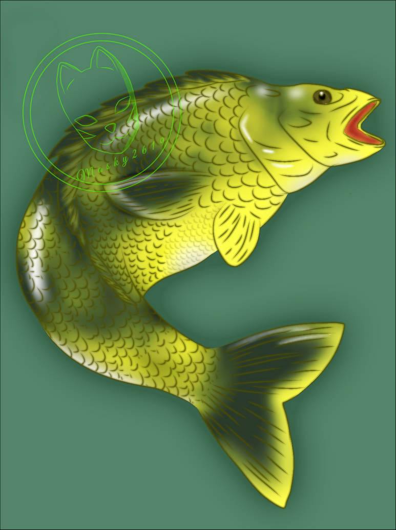 Carp By Masky2619 By Masky2619 On DeviantArt carp-by-masky2619-by-masky2619-on-deviantart