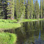 Lassen Pond
