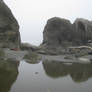 Ruby Beach Tidal