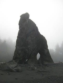 Ruby Beach Sea Stack