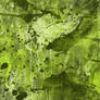 Stained Texture 3