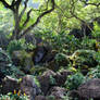 Jungle Rocks