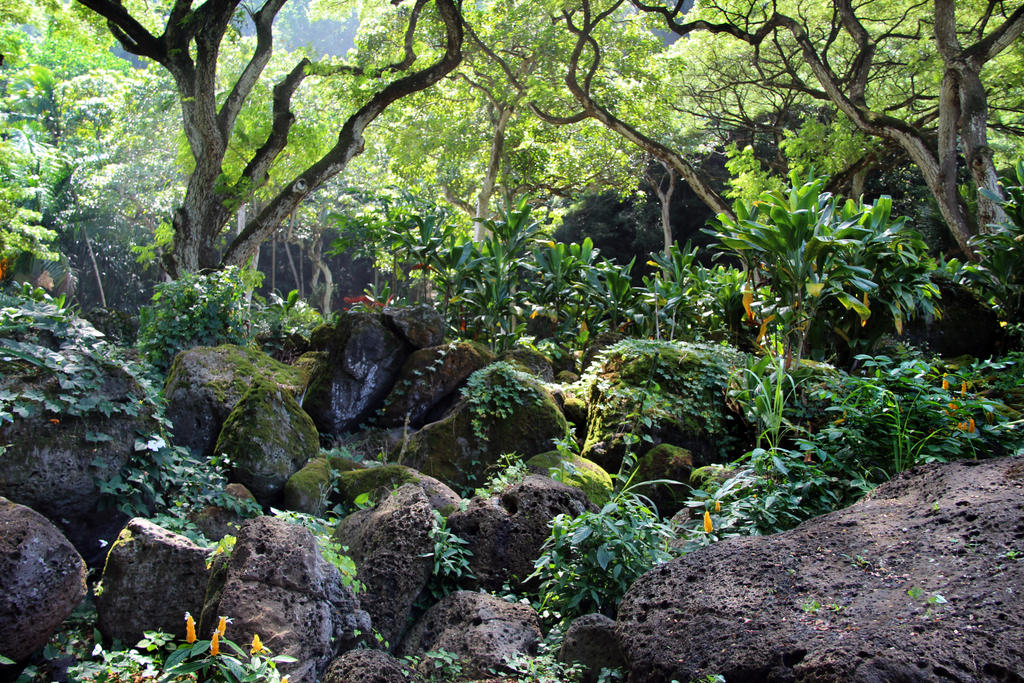 Jungle Rocks Texture Jungle Rocks by Cynnalia-Stock on DeviantArt