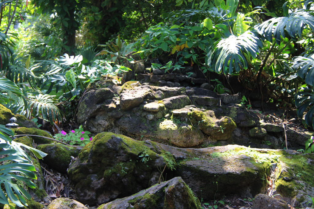 Jungle Rocks Texture Jungle Rocks 2 by Cynnalia-Stock on DeviantArt