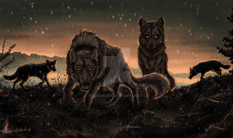 Dark Wolf Pack by Tschandria on DeviantArt