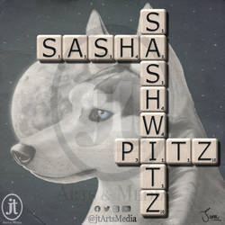 Sashwitz