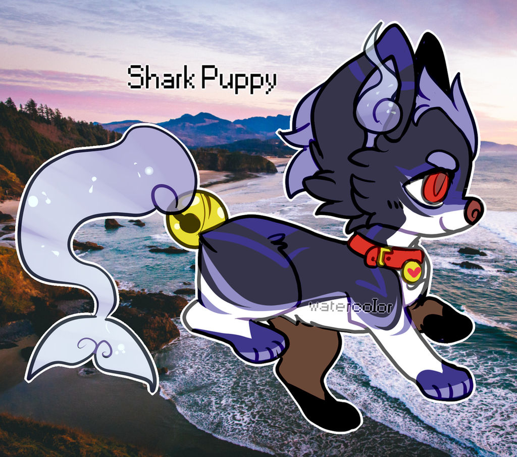Shark Puppy SoulFox Auction (Closed)