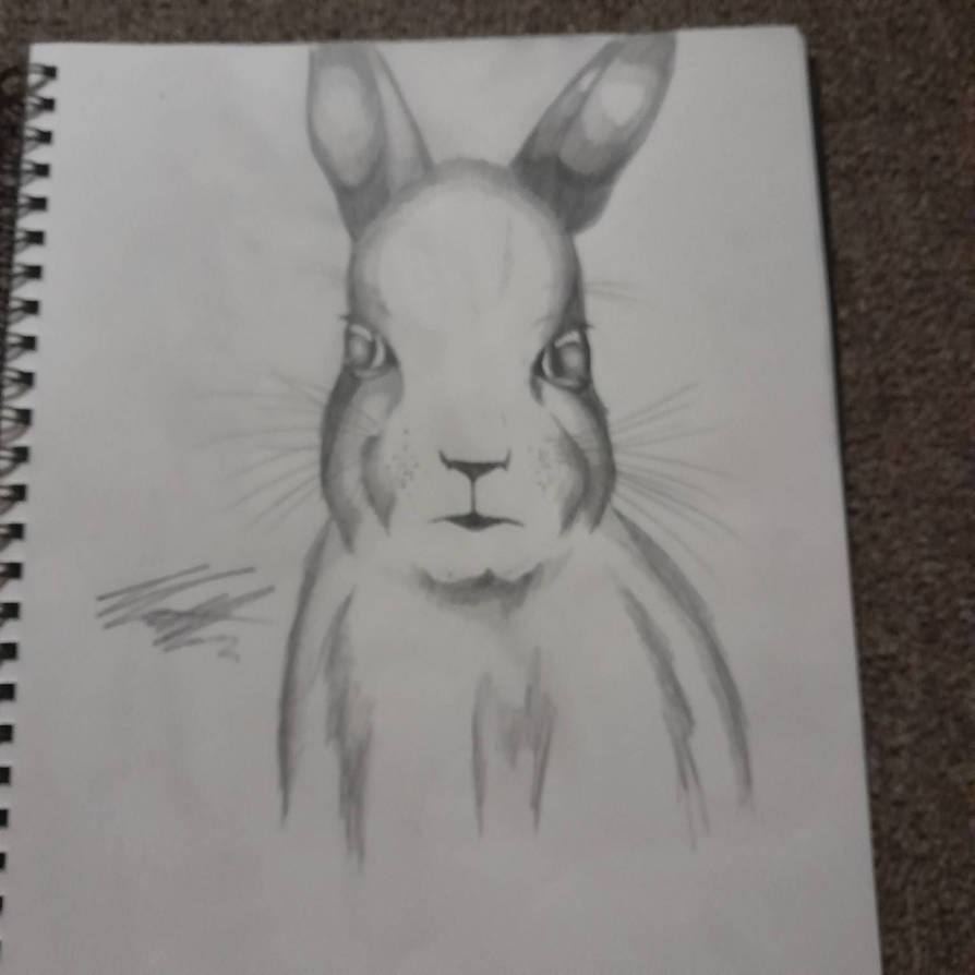 Silly Rabbit TRIX are for kids ( Sketched ) by Matthew028 on DeviantArt
