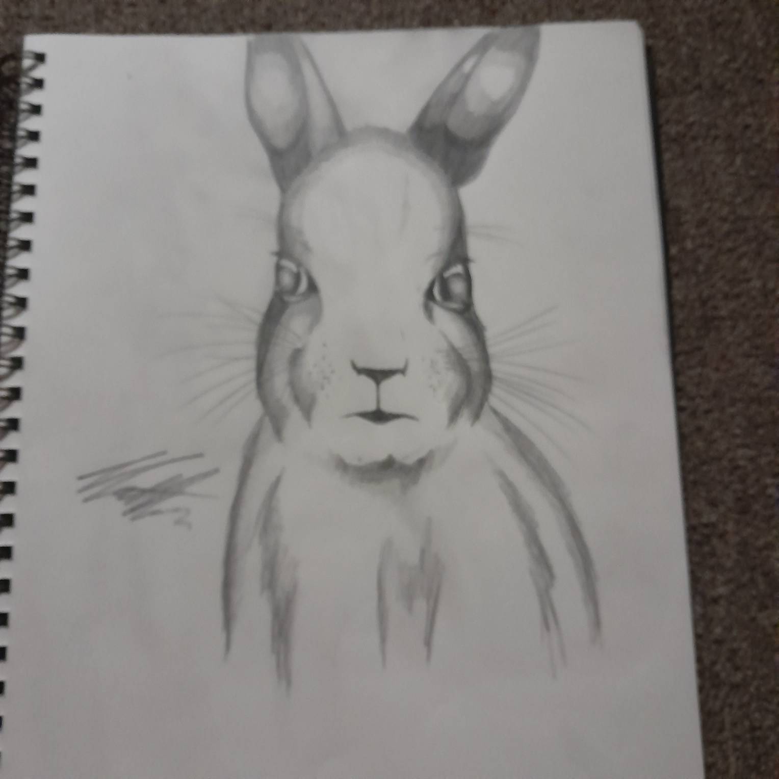 Silly Rabbit TRIX are for kids ( Sketched ) by Matthew028 on DeviantArt