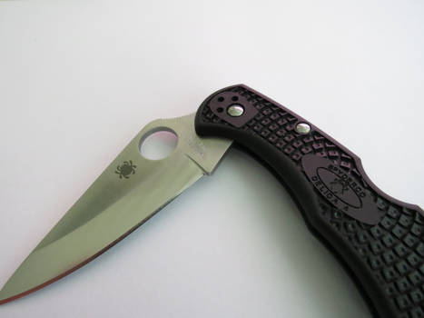 Delica4