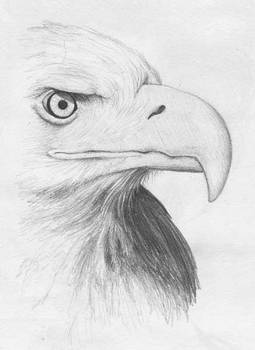 Eagle Head