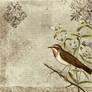 bird vintage texture