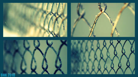 the chainlink fence..