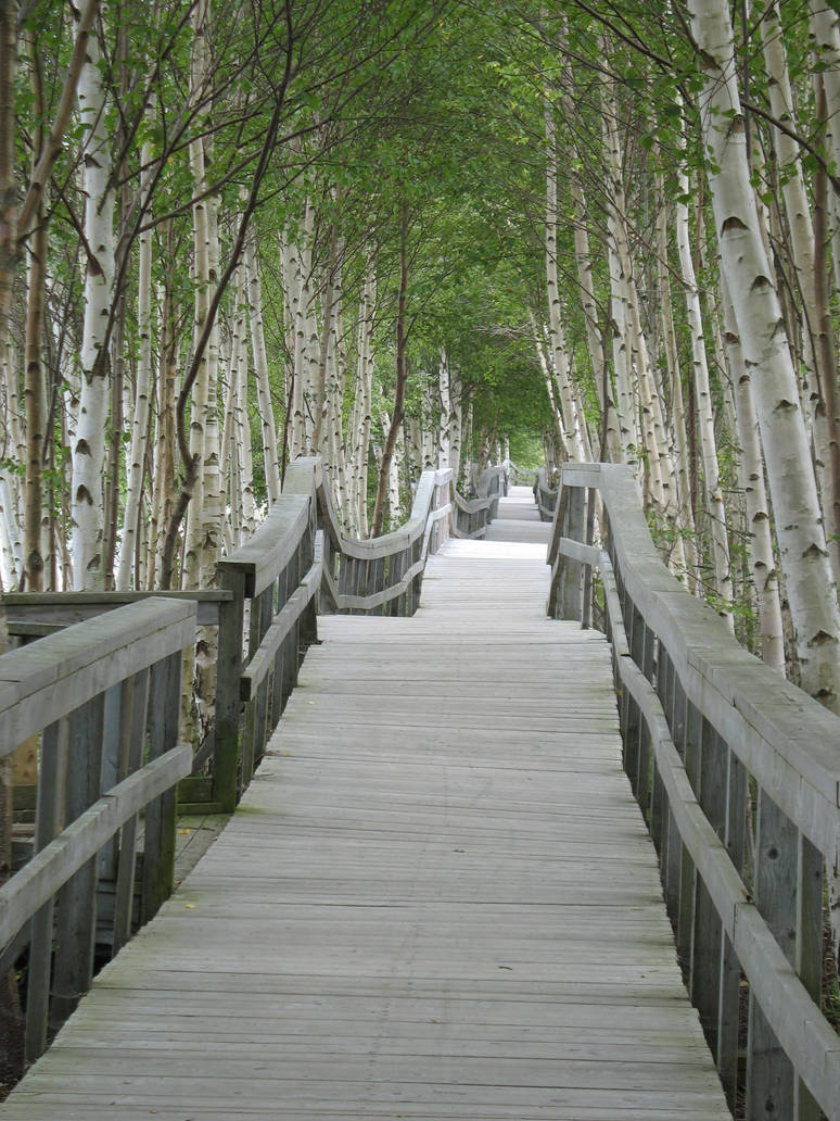 Get Weg des lebens For Free Weg Des Lebens