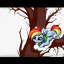 Dashie