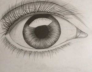 Eye