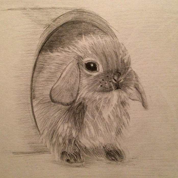Deviantart Mini Rabbit Rabbit by Celebrimbor23 on DeviantArt
