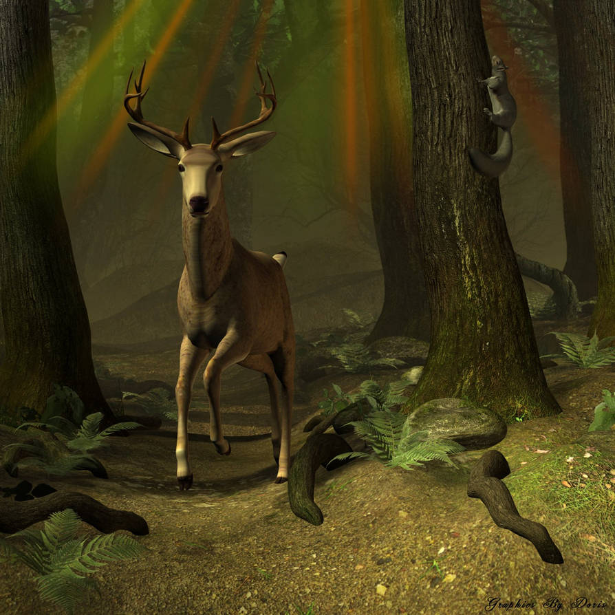 Threadbare Deep Forrest Deep Forest by merrygrannyde on DeviantArt