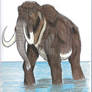 Mammoth in the Water