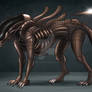 Sphinx Xenomorph
