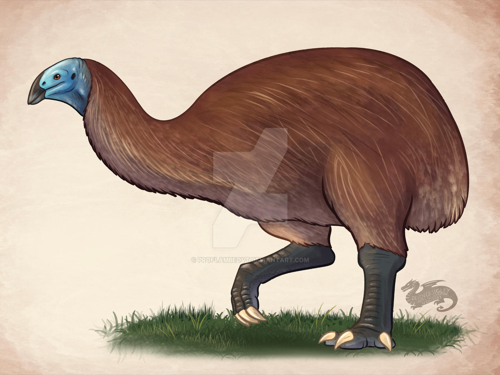 Giant Moa