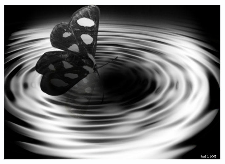 Butterfly making a ripple by BrainyB on DeviantArt