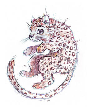 Amur leopard