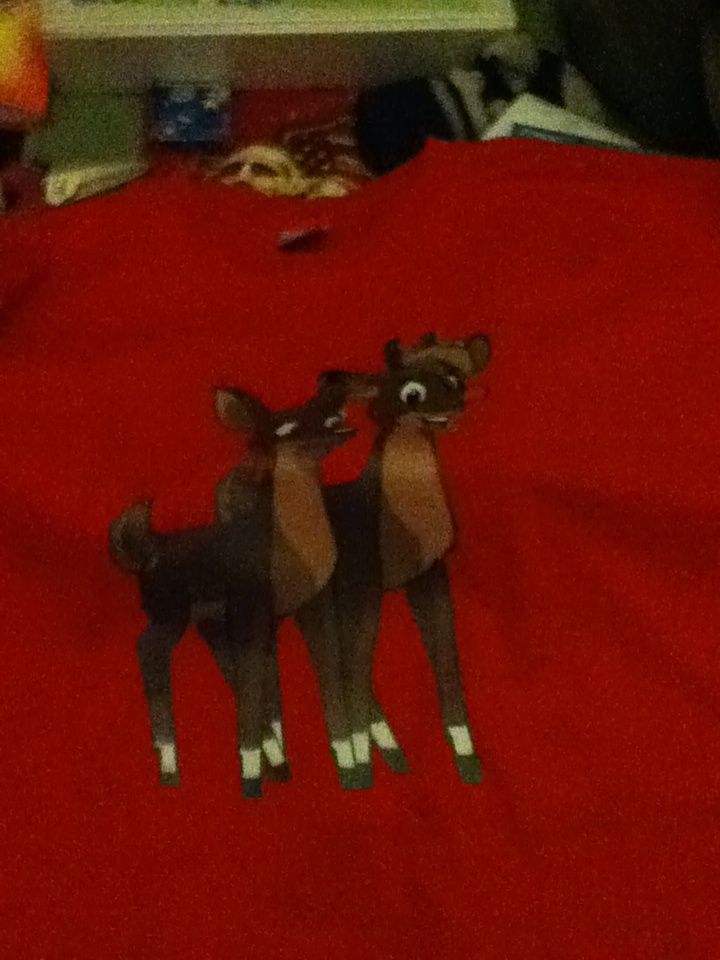 Custom Rudolph and Zoey Shirt