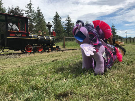 Ponies at Remlinger Farms 