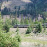 Silver Streak in Western Montana