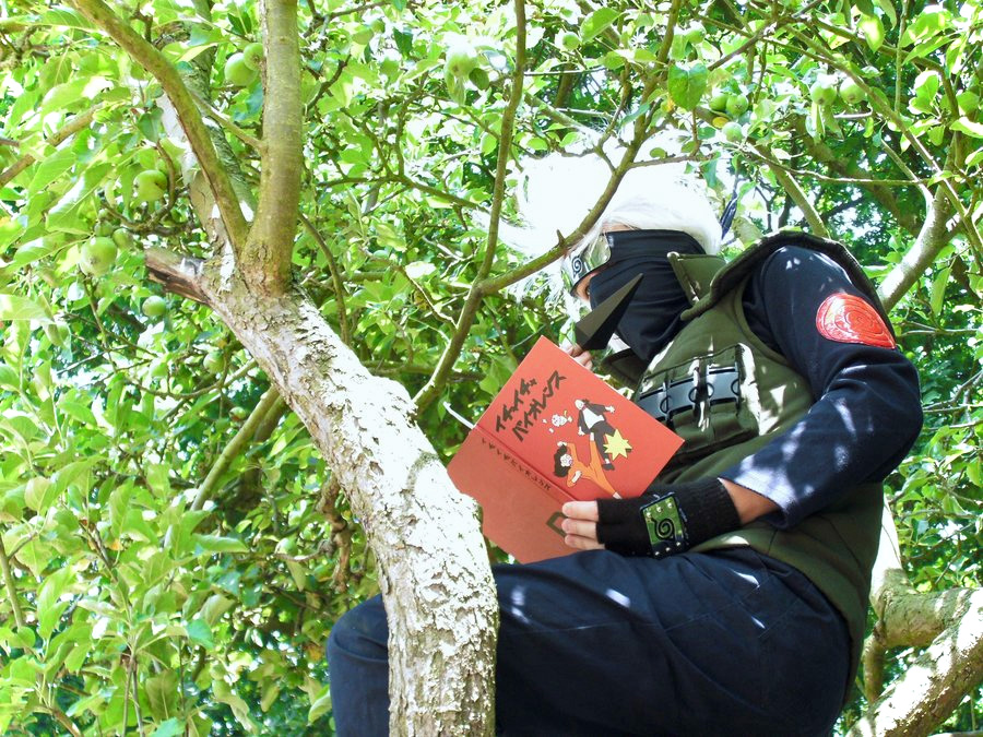 Ninja Hidden In The Leaves 2