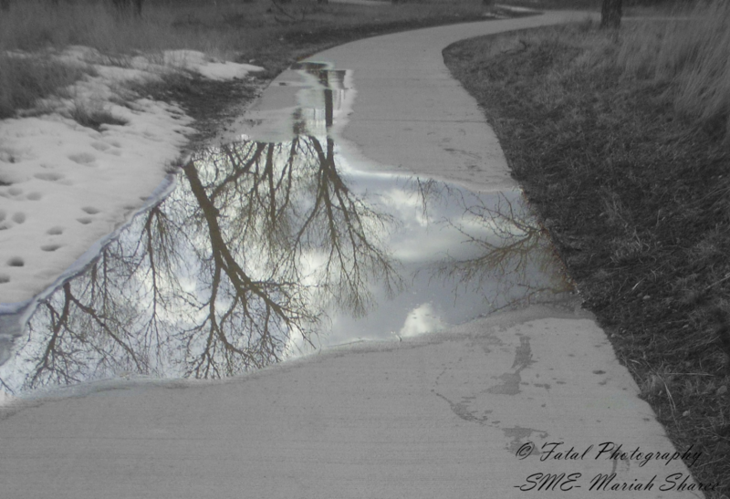 Water on a path