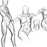 anatomy study