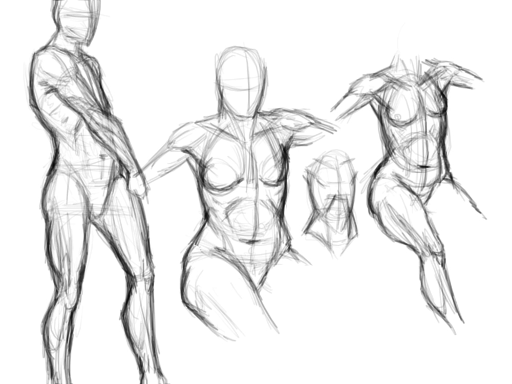 anatomy study