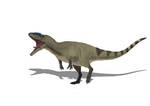 Carcharodontosaurus Stromer