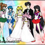 Sailor Senshi Colored