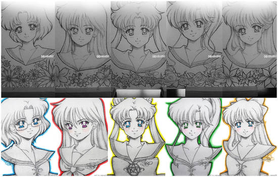 [Sailor Moon] Inner Senshi drawn on canvas
